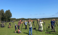 Falsterbo - Ljungen